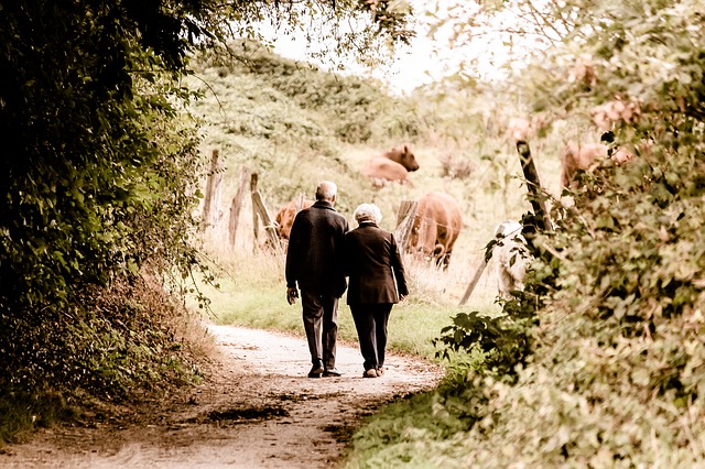 plan de pensiones zaragoza