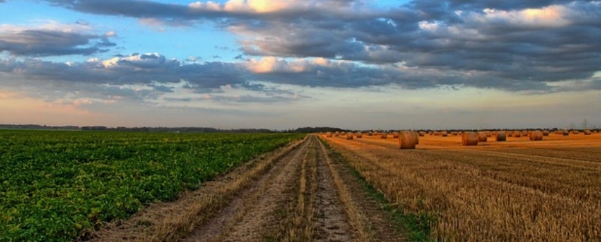 what are the existing types of agricultural insurance?