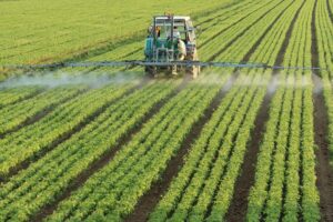 Agroseguro: en marcha la campaña 2023 de seguros agrarios. Ya puedes cotizar el seguro agrario de Frutales