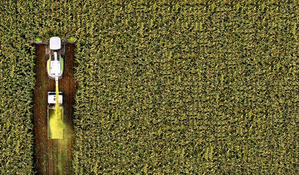 Novedades en los Seguros Agrarios para Cultivos en Cataluña: Evolución y Beneficios