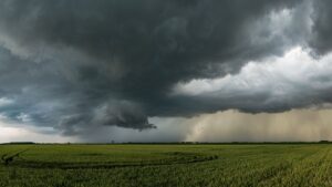 El clima se consolida como la principal amenaza para el campo español, según PIB Group Iberia y Agroseguro