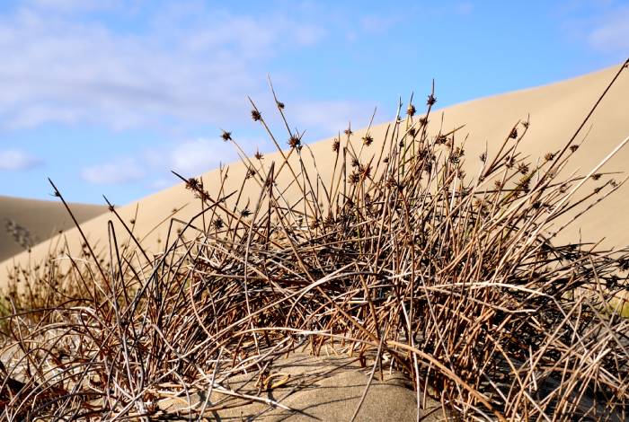 seguro de morte em barcelona